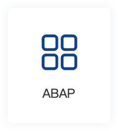 ABAP驻场外包